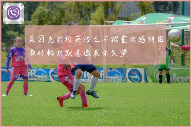 莱因克尔对英格兰不招霍尔感到困惑对帕尔默落选表示失望