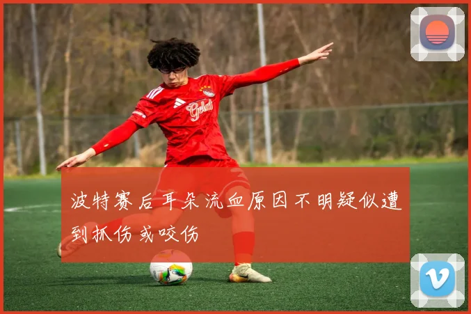 波特赛后耳朵流血原因不明疑似遭到抓伤或咬伤
