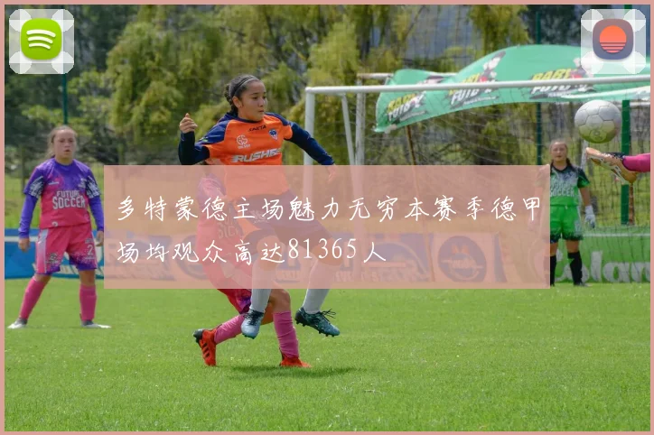 多特蒙德主场魅力无穷本赛季德甲场均观众高达81365人