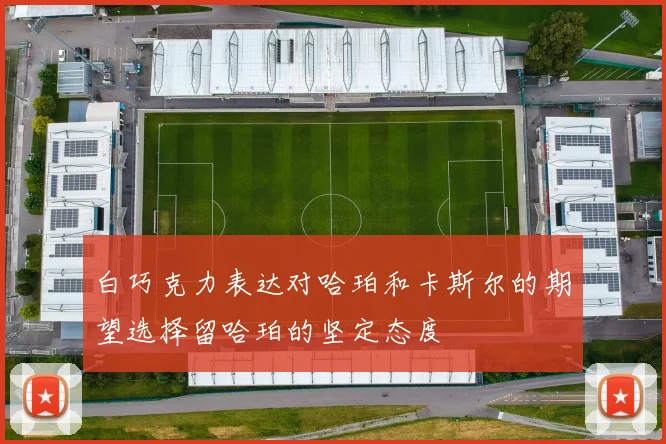 白巧克力表达对哈珀和卡斯尔的期望选择留哈珀的坚定态度
