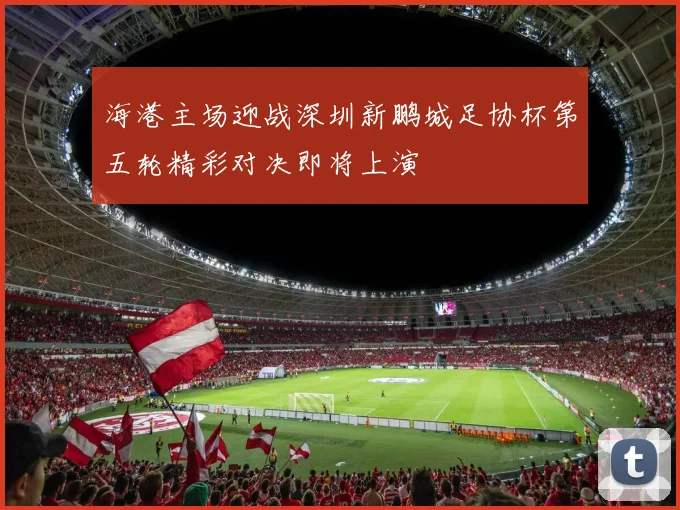海港主场迎战深圳新鹏城足协杯第五轮精彩对决即将上演